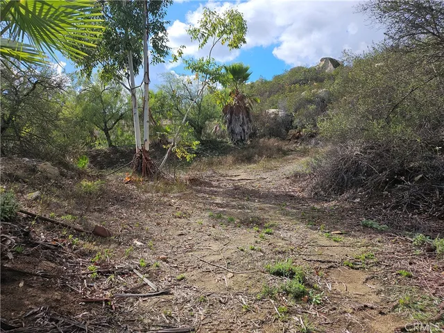 a view of a lake in middle of forest