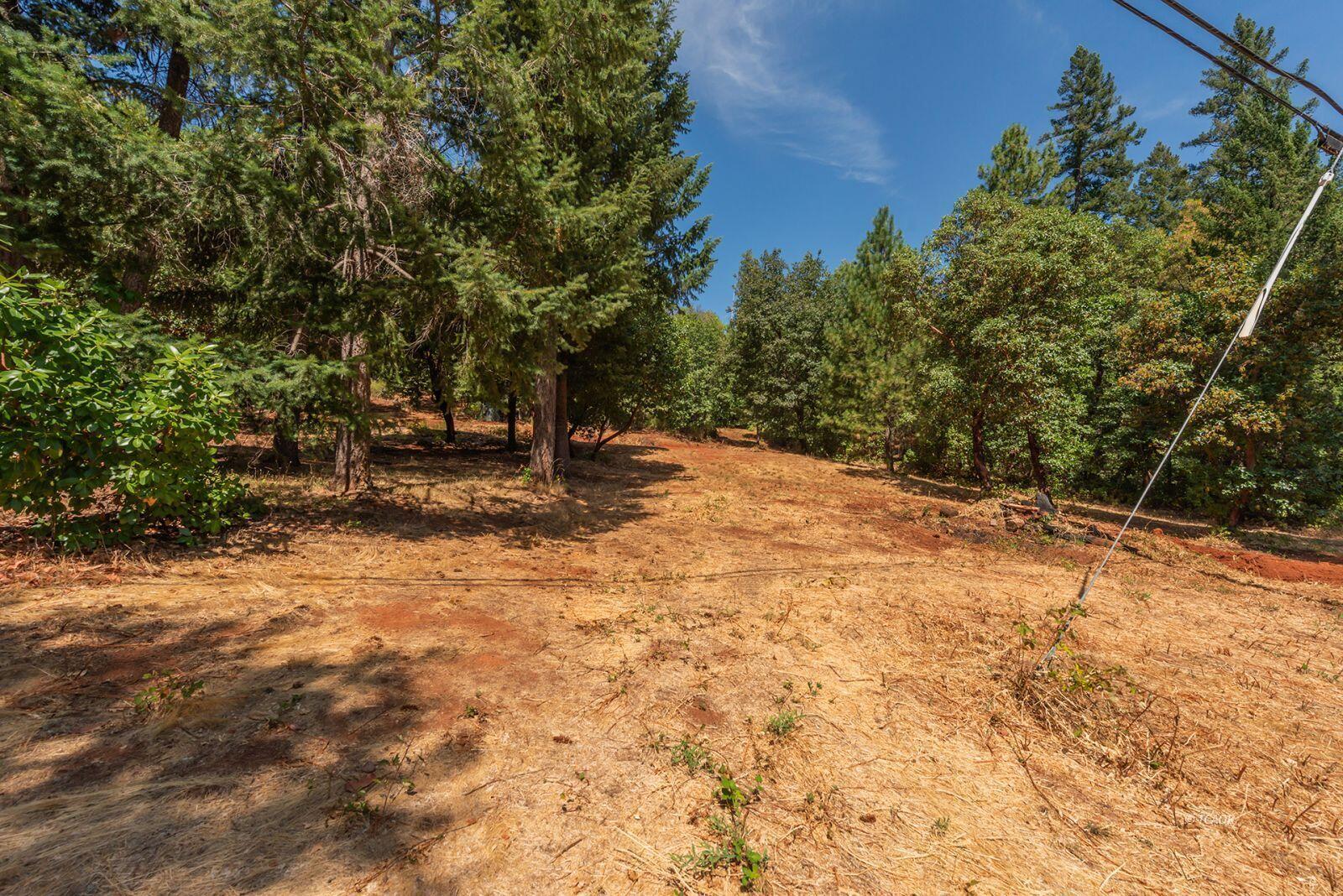 171 Conner Creek Road Junction City, CA 96048 - Photo 9 of 26