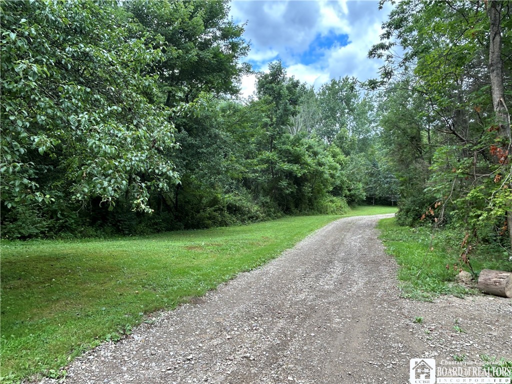 229 Mud Creek Road Kennedy, NY 14747 - Photo 5 of 25