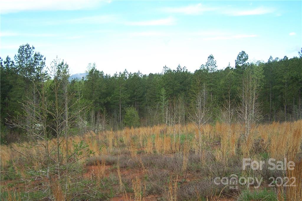 3 County Line Rd Mill Spring Rutherfordton, NC 28139 - Photo 5 of 7