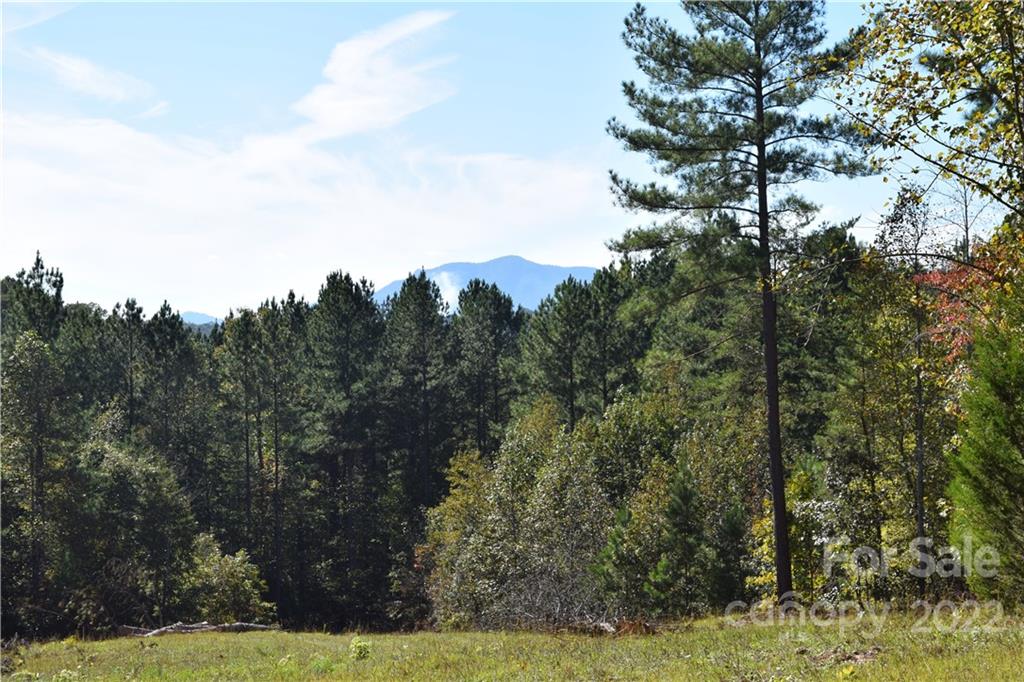 3 County Line Rd Mill Spring Rutherfordton, NC 28139 - Photo 6 of 7