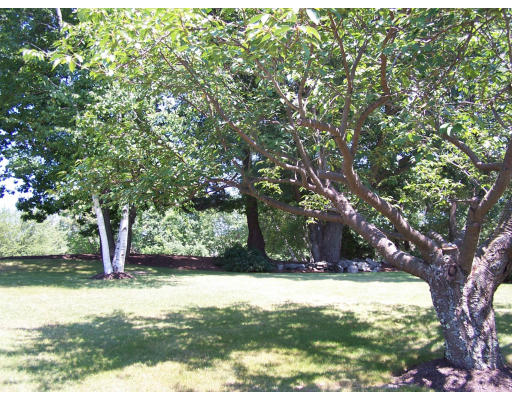 135 Meadowview Road North Andover, MA 01845 - Photo 8 of 18 Gallery Image 8