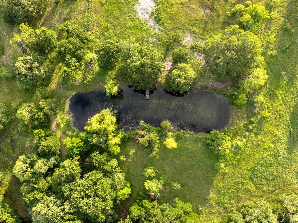 980 North League Ranch Road Waco, TX 76705 - Photo 31 of 39 a view of a garden
