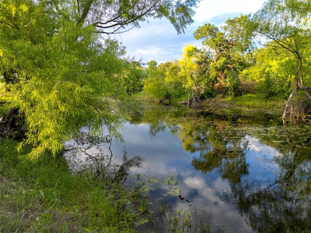 980 North League Ranch Road Waco, TX 76705 - Photo 33 of 39 a view of a lake with large trees