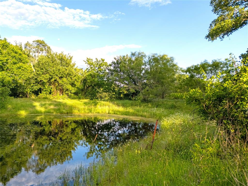 980 North League Ranch Road Waco, TX 76705 - Photo 34 of 39 a view of an ocean from a yard
