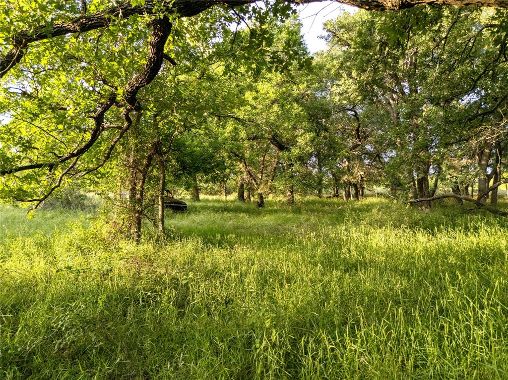 980 North League Ranch Road Waco, TX 76705 - Photo 37 of 39 a view of outdoor space with a yard