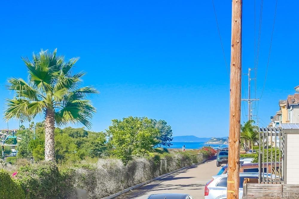 421 North Cedros Avenue Solana Beach, CA 92075 - Photo 49 of 54 a view of a palm plant from a balcony