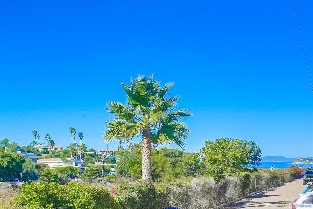 421 North Cedros Avenue Solana Beach, CA 92075 - Photo 51 of 54 a view of a garden