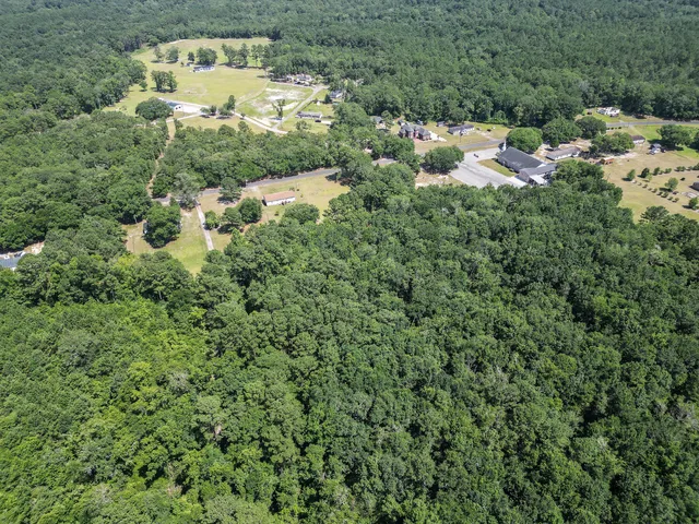 $675,000 | 153 Willow Brook Way, Cordesville, SC 29434