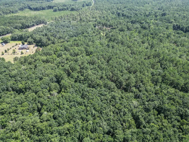 $675,000 | 153 Willow Brook Way, Cordesville, SC 29434