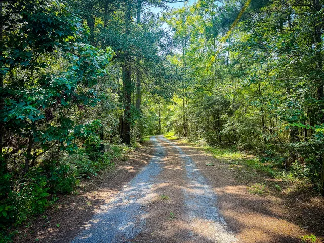 $675,000 | 153 Willow Brook Way, Cordesville, SC 29434