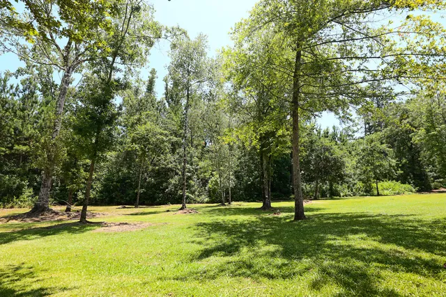 $675,000 | 153 Willow Brook Way, Cordesville, SC 29434