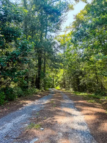 $675,000 | 153 Willow Brook Way, Cordesville, SC 29434