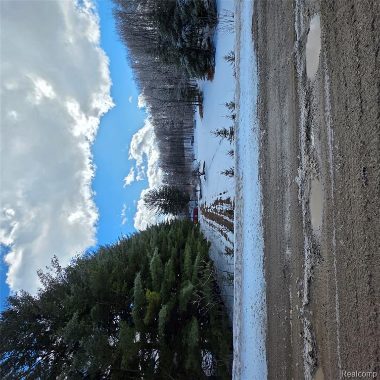 4080 Mitchell Road Southeast Kalkaska, MI 49646 - Photo 6 of 16