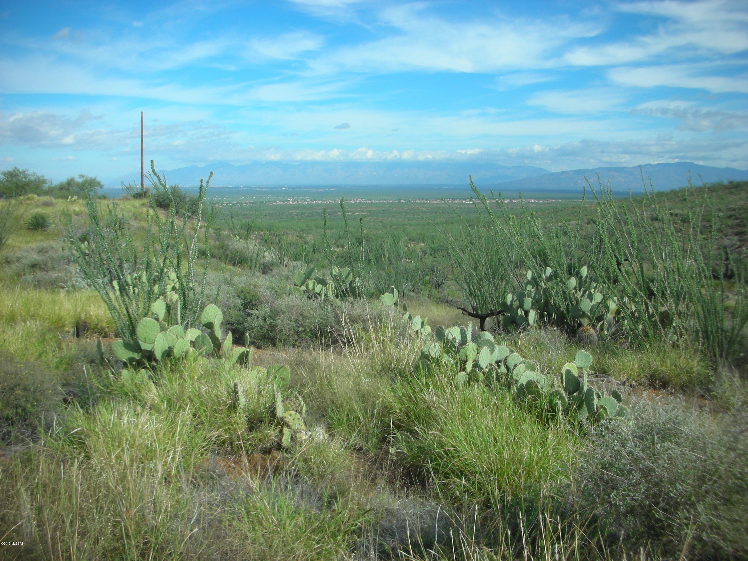 10600 East Ocotillo Rim Trail Vail, AZ 85641 - Photo 18 of 24 Gallery Image 18