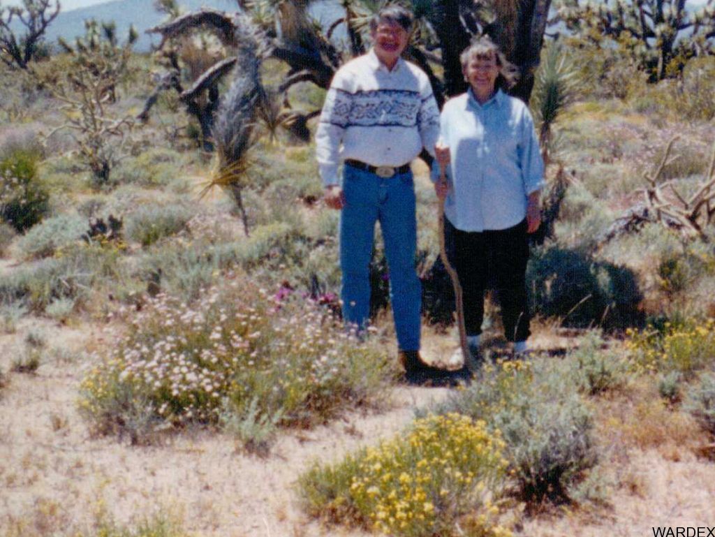 Lot 199 South Diamondback Road Yucca, AZ 86438 - Photo 8 of 9 Additional Photo
