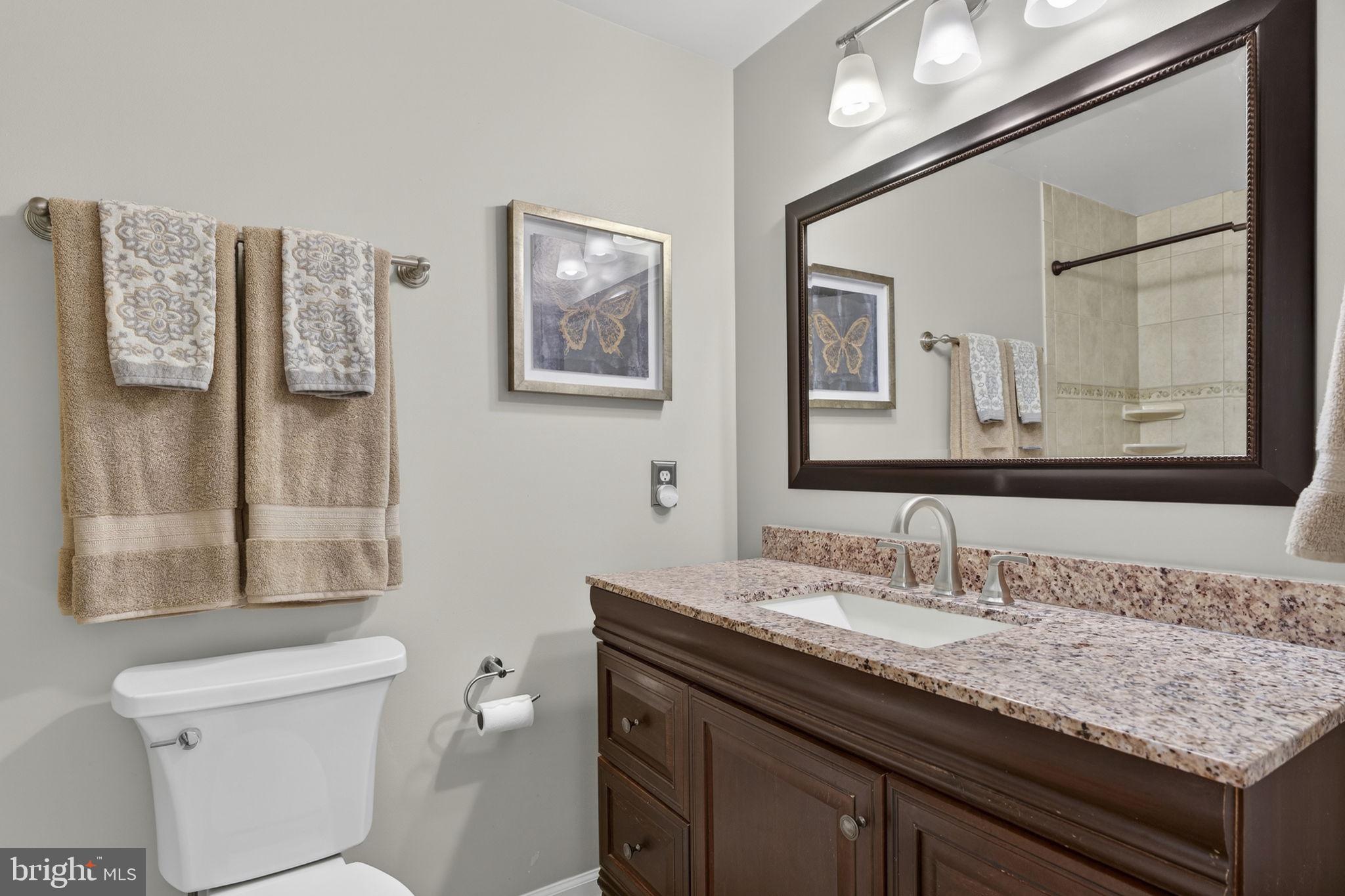 9666 Springs Road Warrenton, VA 20186 - Photo 44 of 77 a bathroom with a granite countertop sink a toilet and a mirror