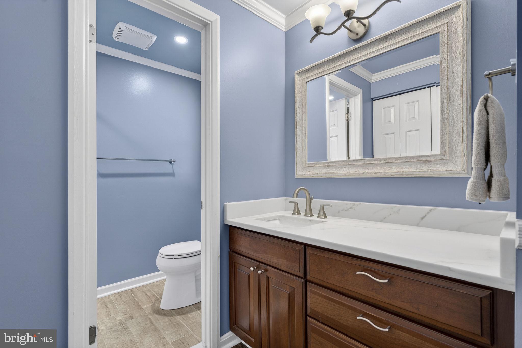 9666 Springs Road Warrenton, VA 20186 - Photo 51 of 77 a bathroom with a sink a toilet and a mirror