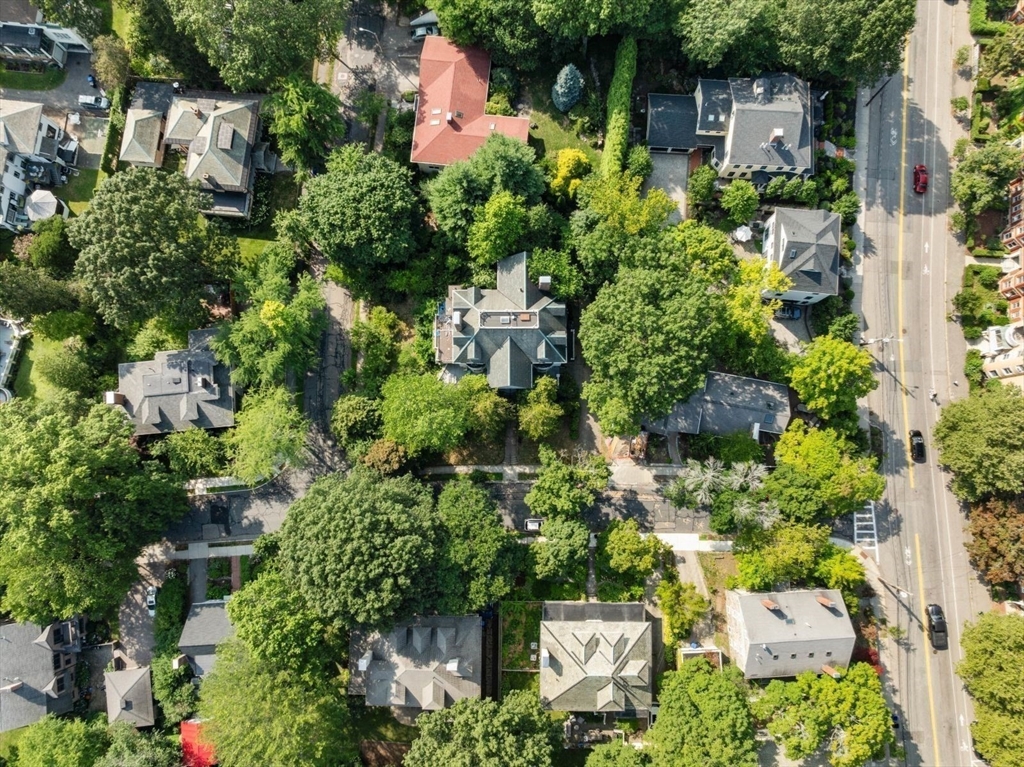 9 Downing Road Brookline, MA 02446 - Photo 28 of 34