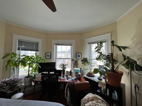 a living room with furniture potted plant floor and a window
