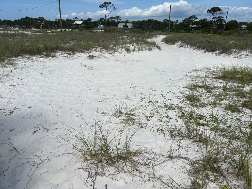 106 Cocina Road Carrabelle, FL 32322 - Photo 3 of 9