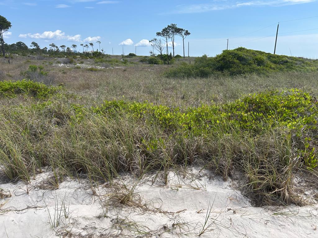 106 Cocina Road Carrabelle, FL 32322 - Photo 4 of 9
