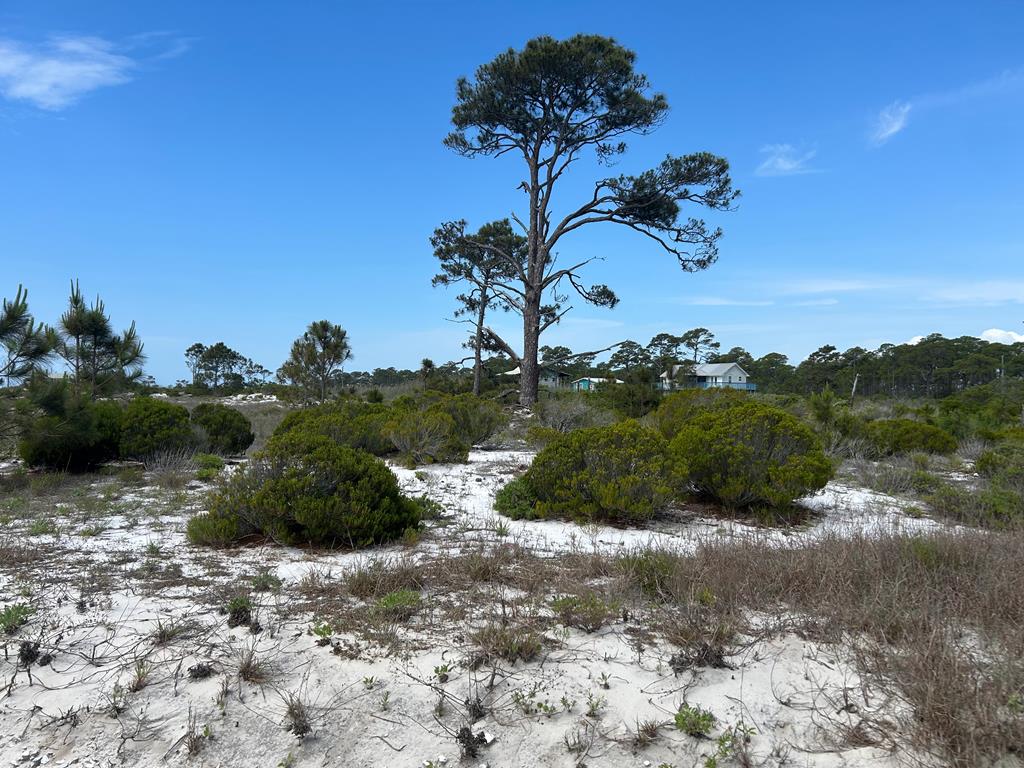 106 Cocina Road Carrabelle, FL 32322 - Photo 5 of 9