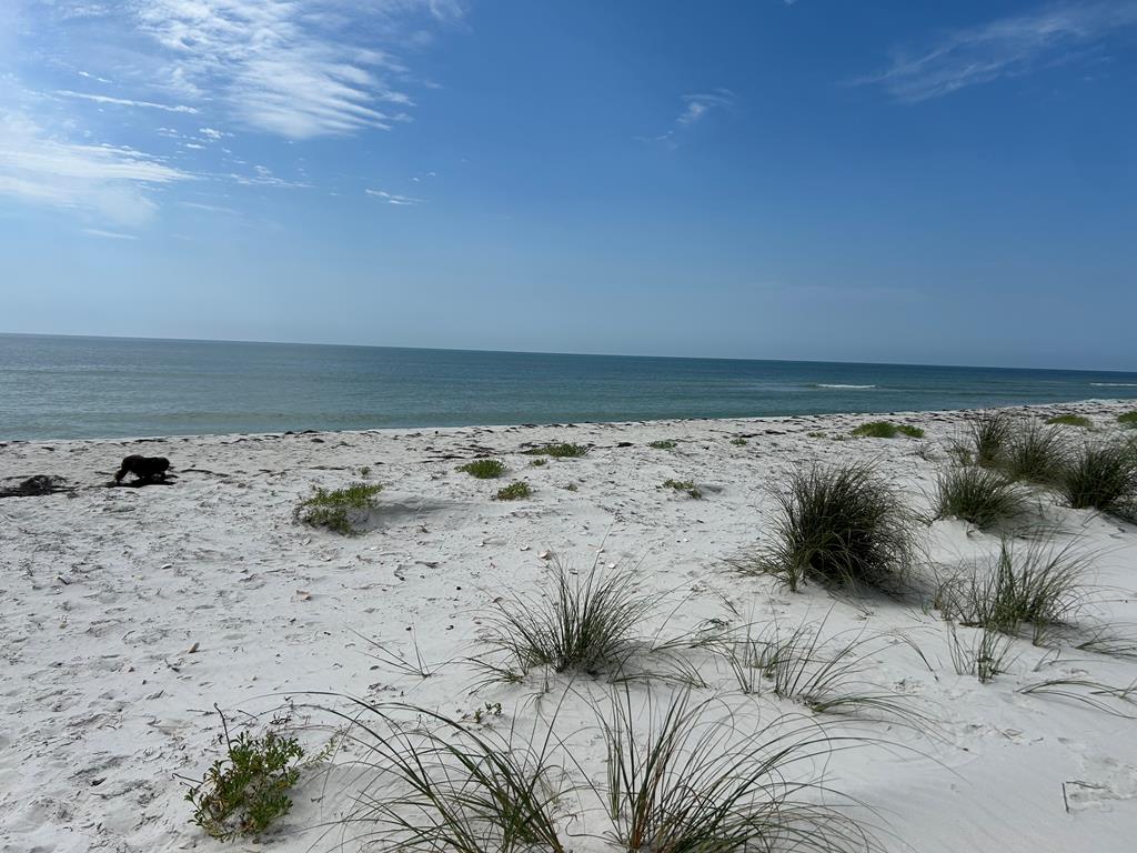 106 Cocina Road Carrabelle, FL 32322 - Photo 6 of 9