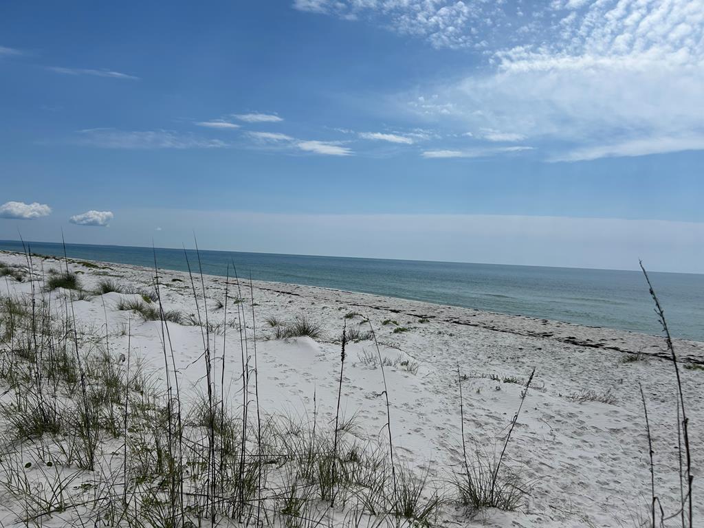 106 Cocina Road Carrabelle, FL 32322 - Photo 7 of 9