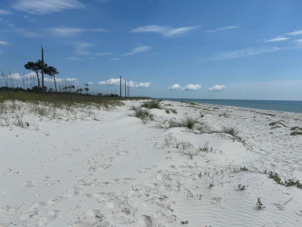 106 Cocina Road Carrabelle, FL 32322 - Photo 8 of 9