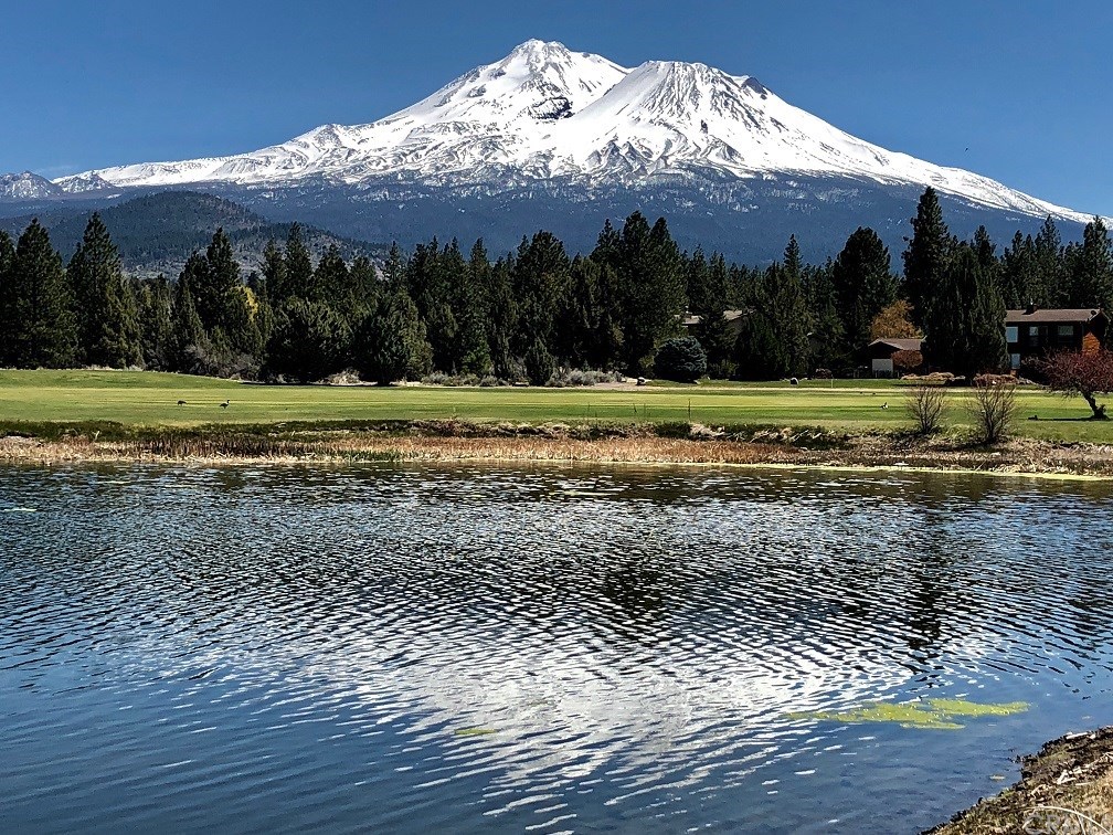 5214 Stag Mountain Road Weed, CA 96094 - Photo 30 of 32