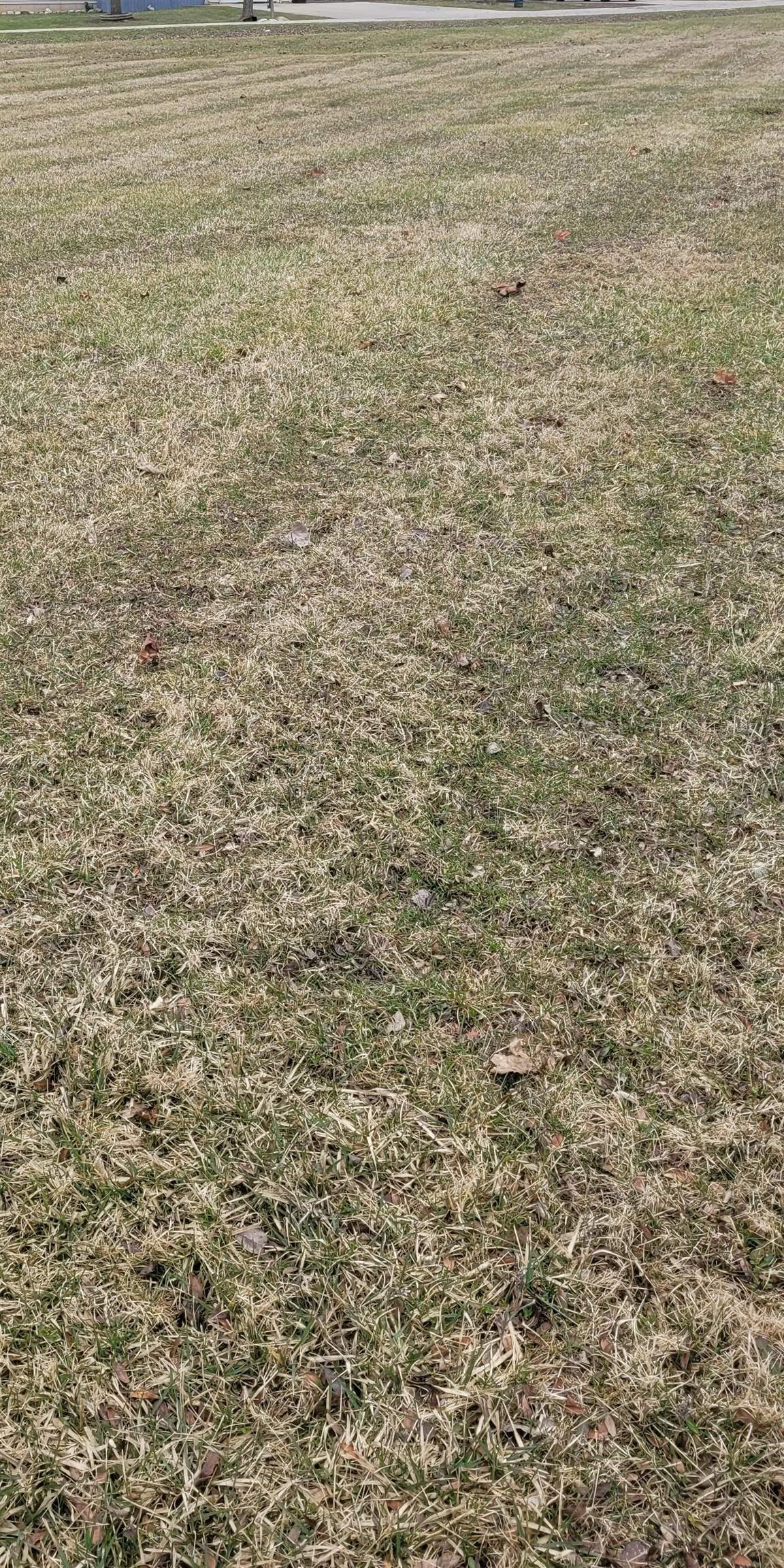0 North Hintz Road Owosso, MI 48867 - Photo 3 of 3