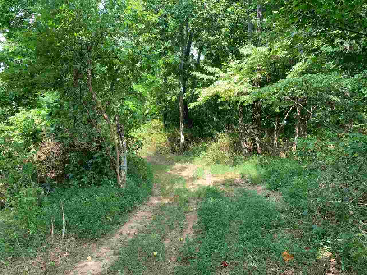 Ac Defries Road Canmer, KY 42722 - Photo 4 of 17 Gallery Image 4
