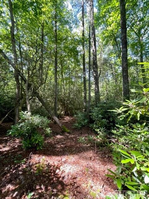 96 Uplands Road Whittier, NC 28789 - Photo 2 of 8 Gallery Image 2