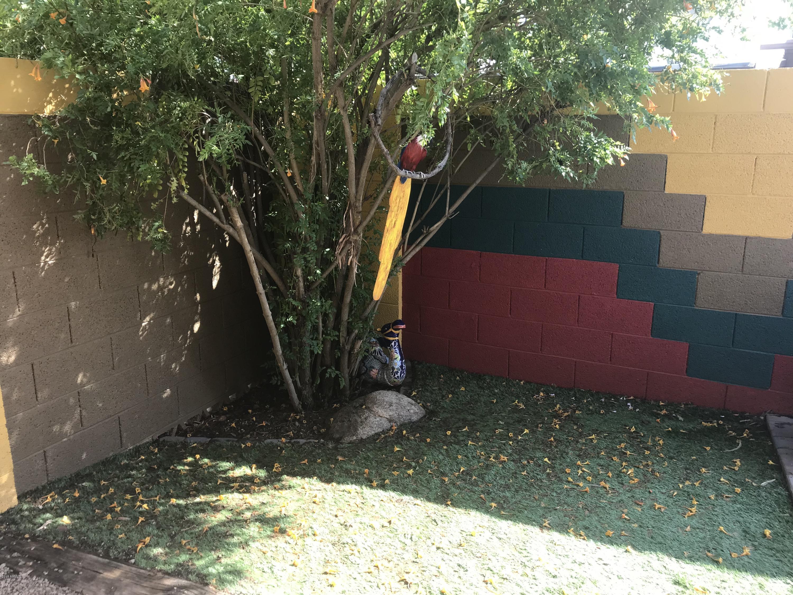 2537 East Wagoner Road Phoenix, AZ 85032 - Photo 31 of 36 Synthetic Grass for pets