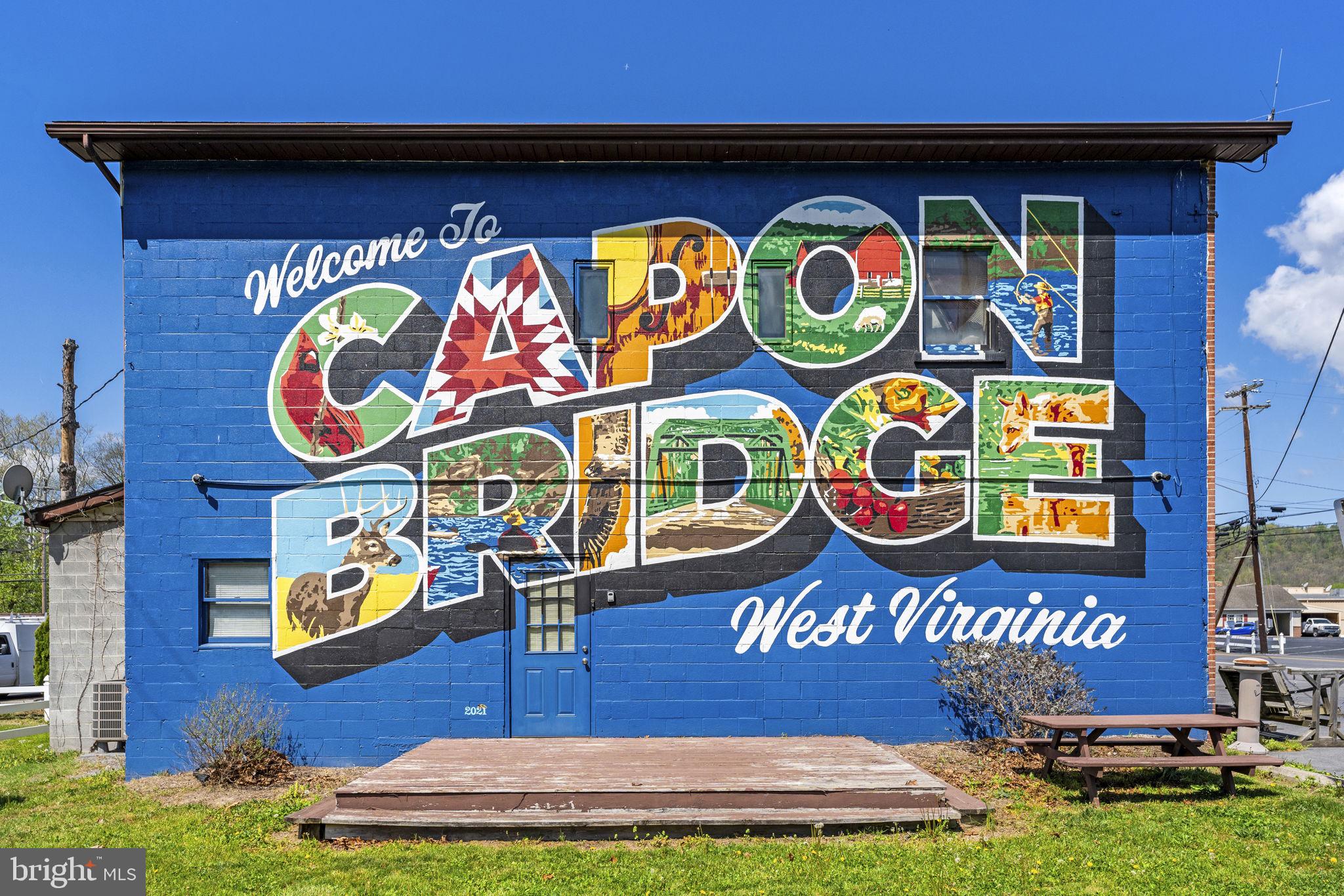 75 Tannery Road Capon Bridge, WV 26711 - Photo 58 of 58