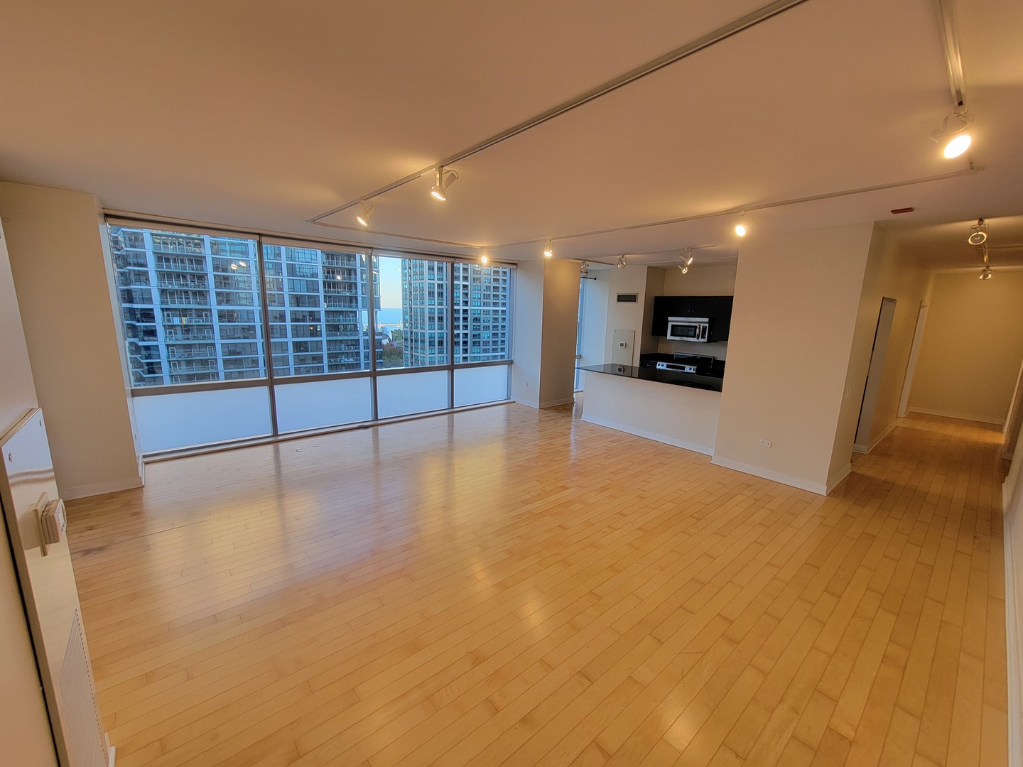 8 East Randolph Street, Unit 1501 Chicago, IL 60601 - Photo 2 of 22