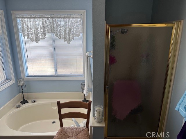 1456 St Croix Drive Hemet, CA 92543 - Photo 14 of 27 PRIMARY TUB AND SHOWER