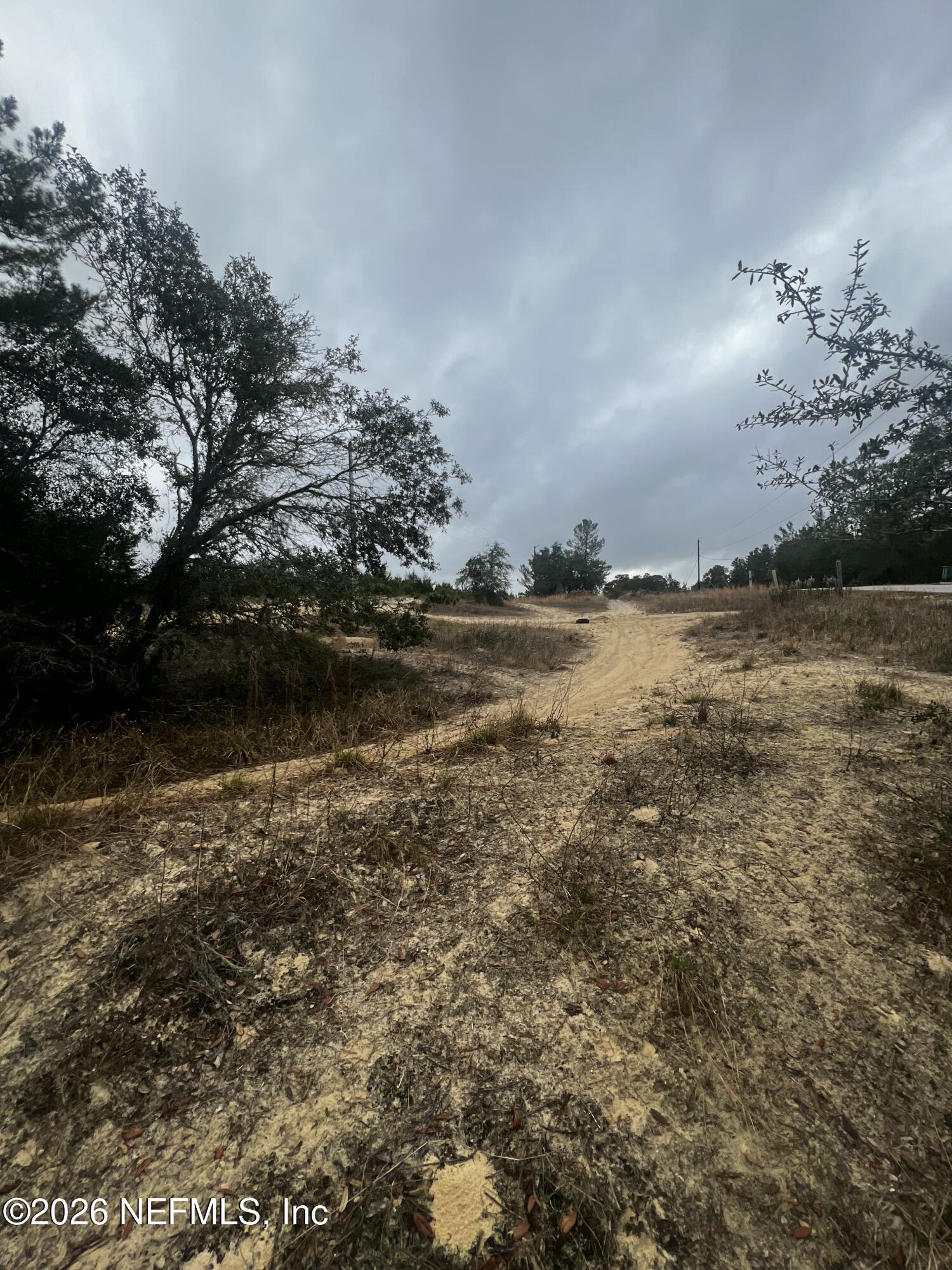 226 Ridge Road Satsuma, FL 32189 - Photo 12 of 61 IMG_0932