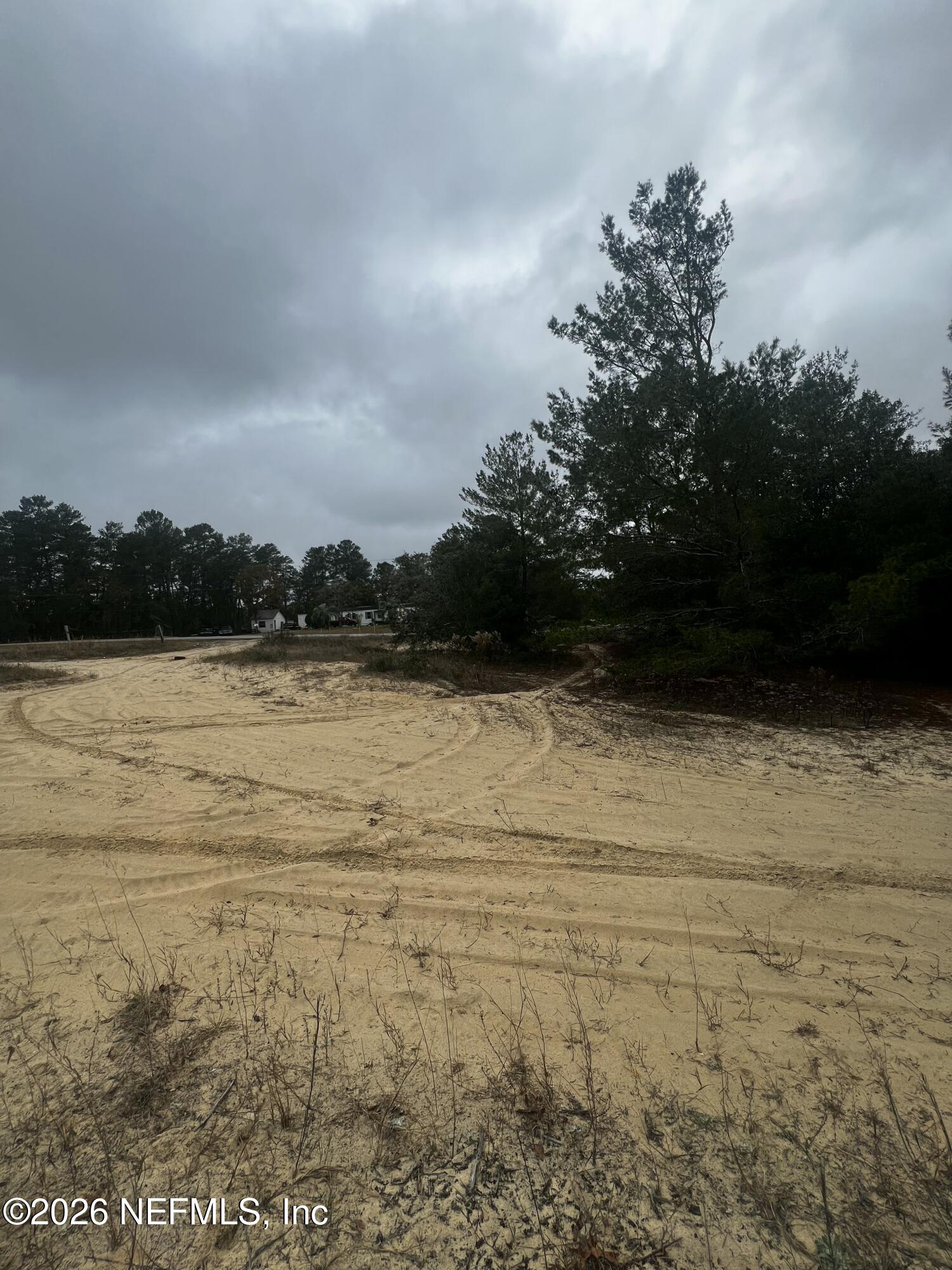 226 Ridge Road Satsuma, FL 32189 - Photo 13 of 61 IMG_0907