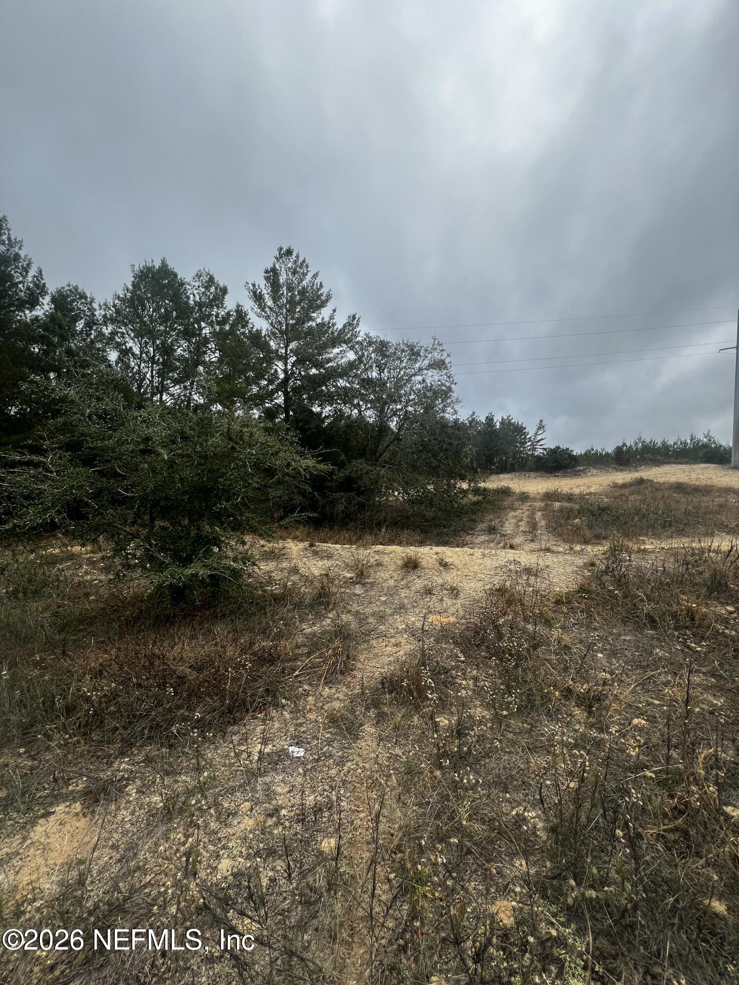 226 Ridge Road Satsuma, FL 32189 - Photo 15 of 61 IMG_0938