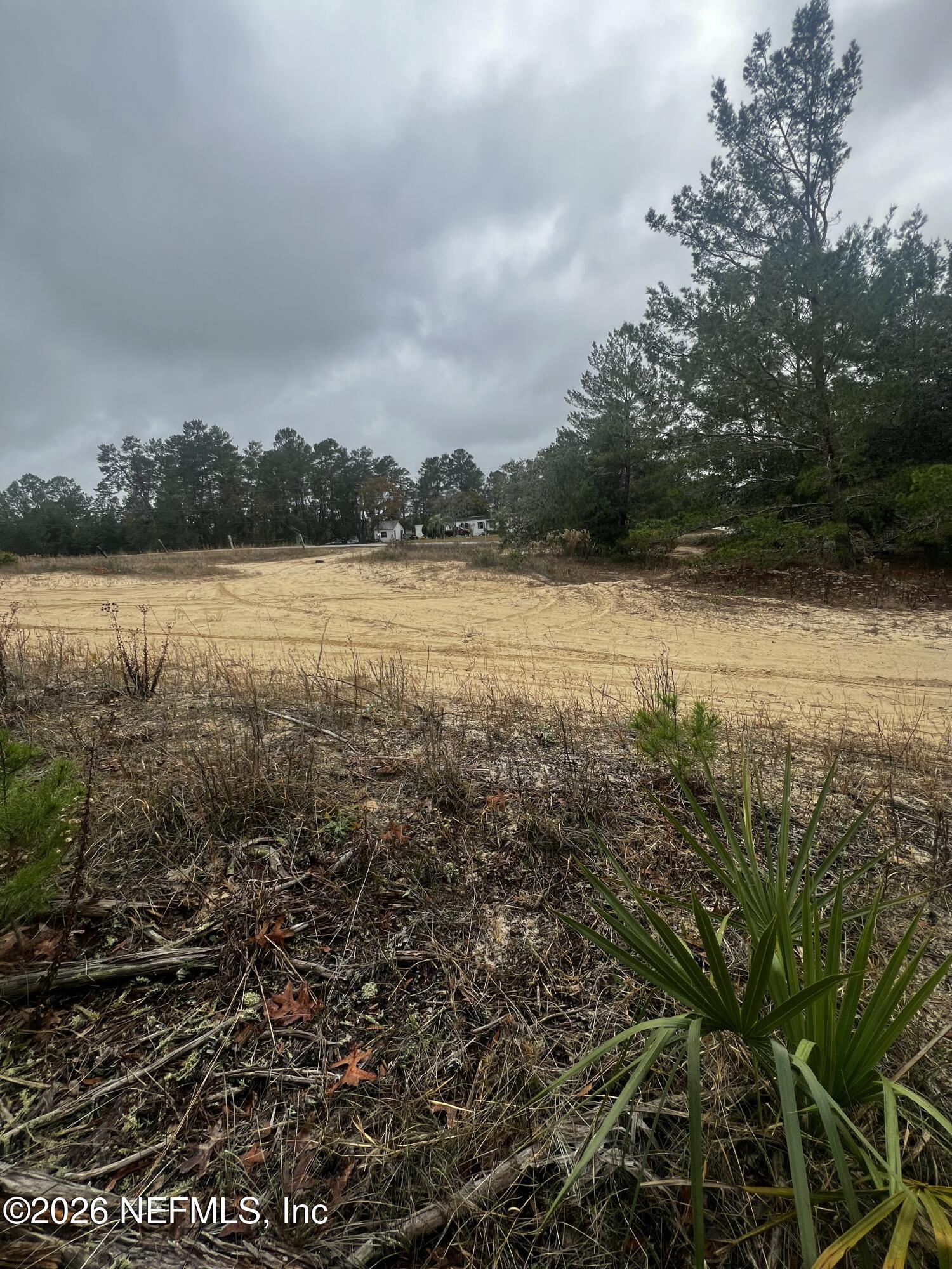 226 Ridge Road Satsuma, FL 32189 - Photo 16 of 61 IMG_0909