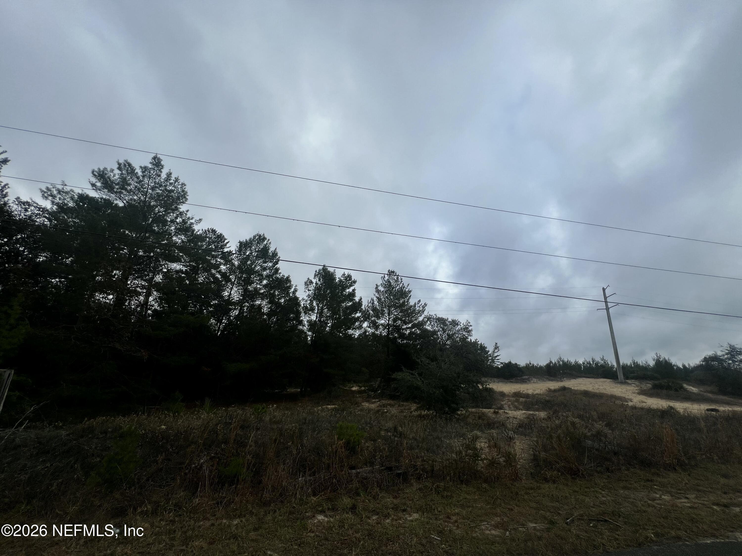 226 Ridge Road Satsuma, FL 32189 - Photo 17 of 61 IMG_0947