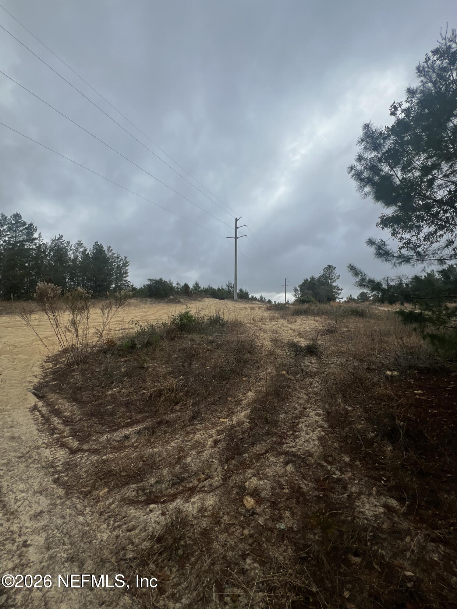 226 Ridge Road Satsuma, FL 32189 - Photo 20 of 61 IMG_0920