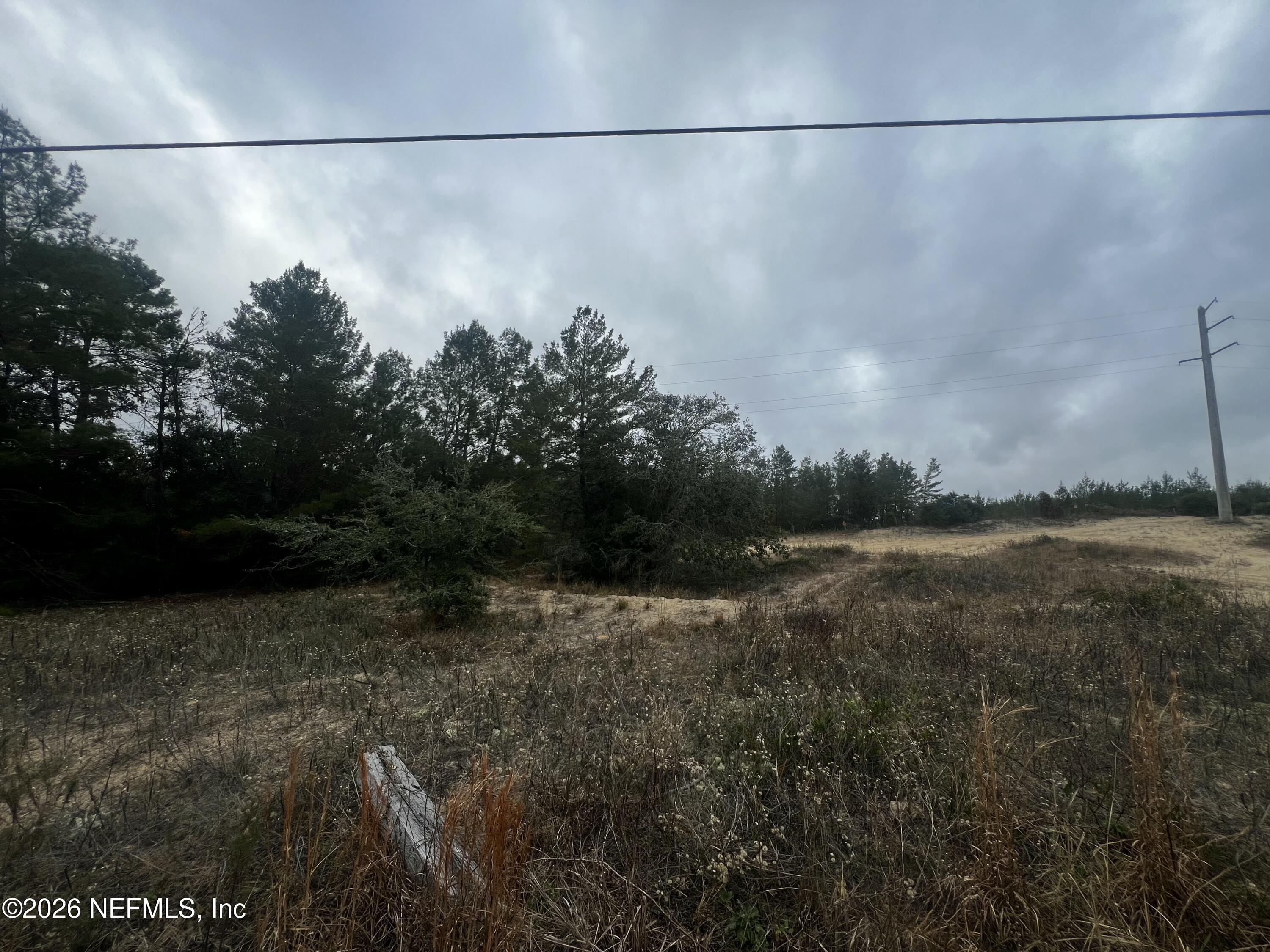 226 Ridge Road Satsuma, FL 32189 - Photo 2 of 61 IMG_0951