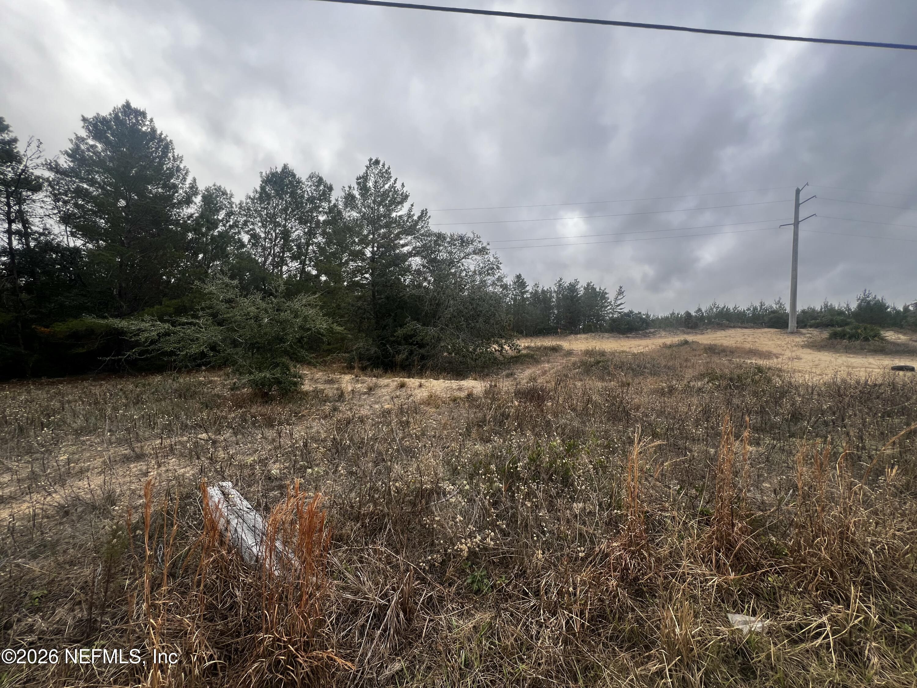 226 Ridge Road Satsuma, FL 32189 - Photo 21 of 61 IMG_0948