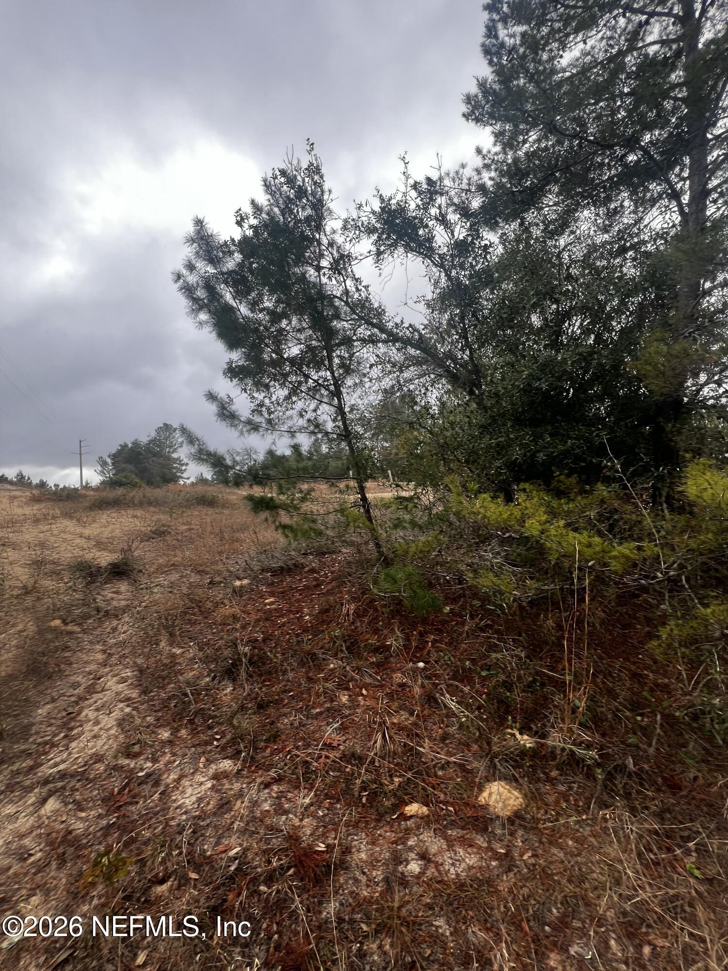 226 Ridge Road Satsuma, FL 32189 - Photo 22 of 61 IMG_0914