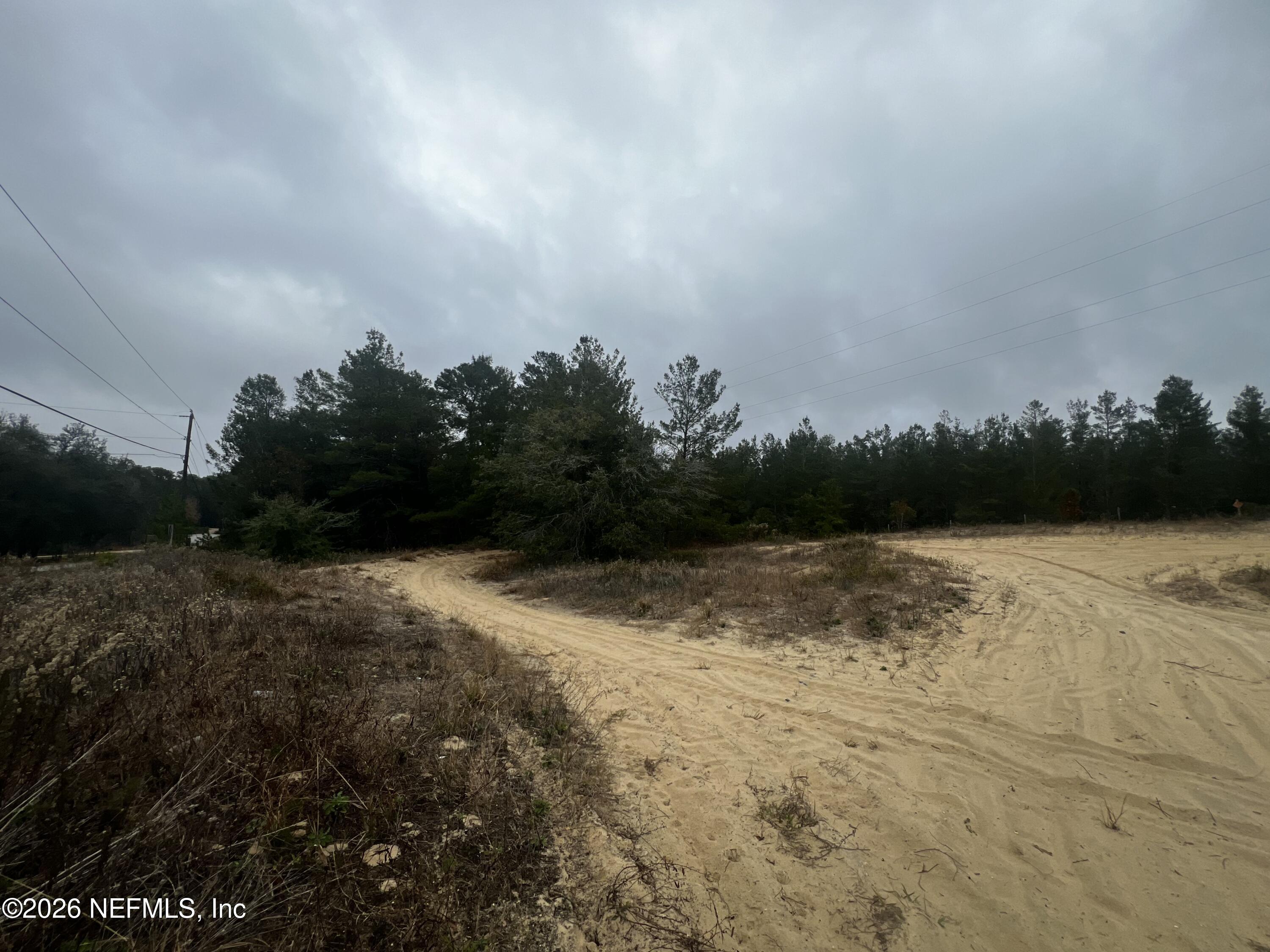 226 Ridge Road Satsuma, FL 32189 - Photo 23 of 61 IMG_0902