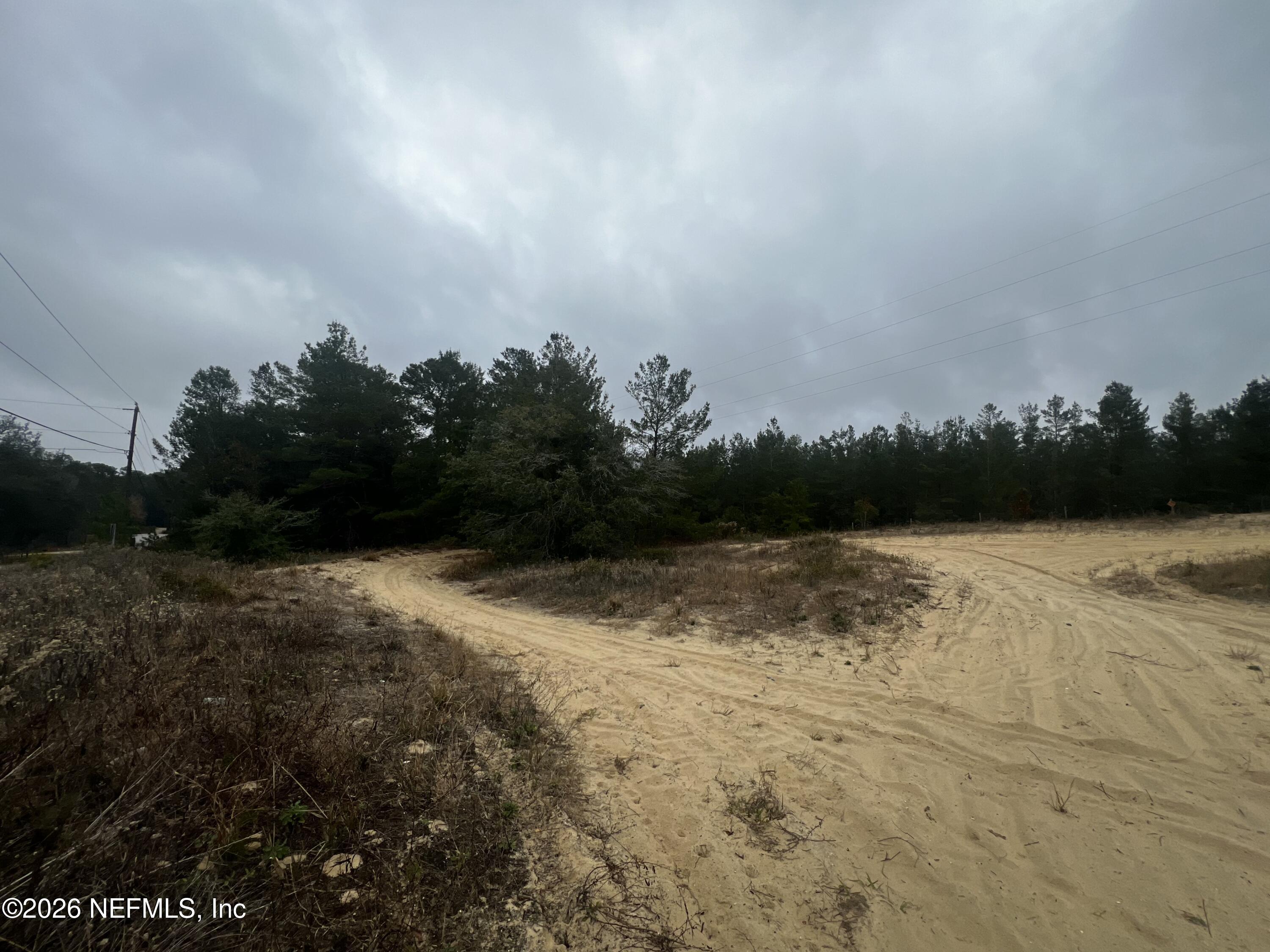 226 Ridge Road Satsuma, FL 32189 - Photo 24 of 61 IMG_0901