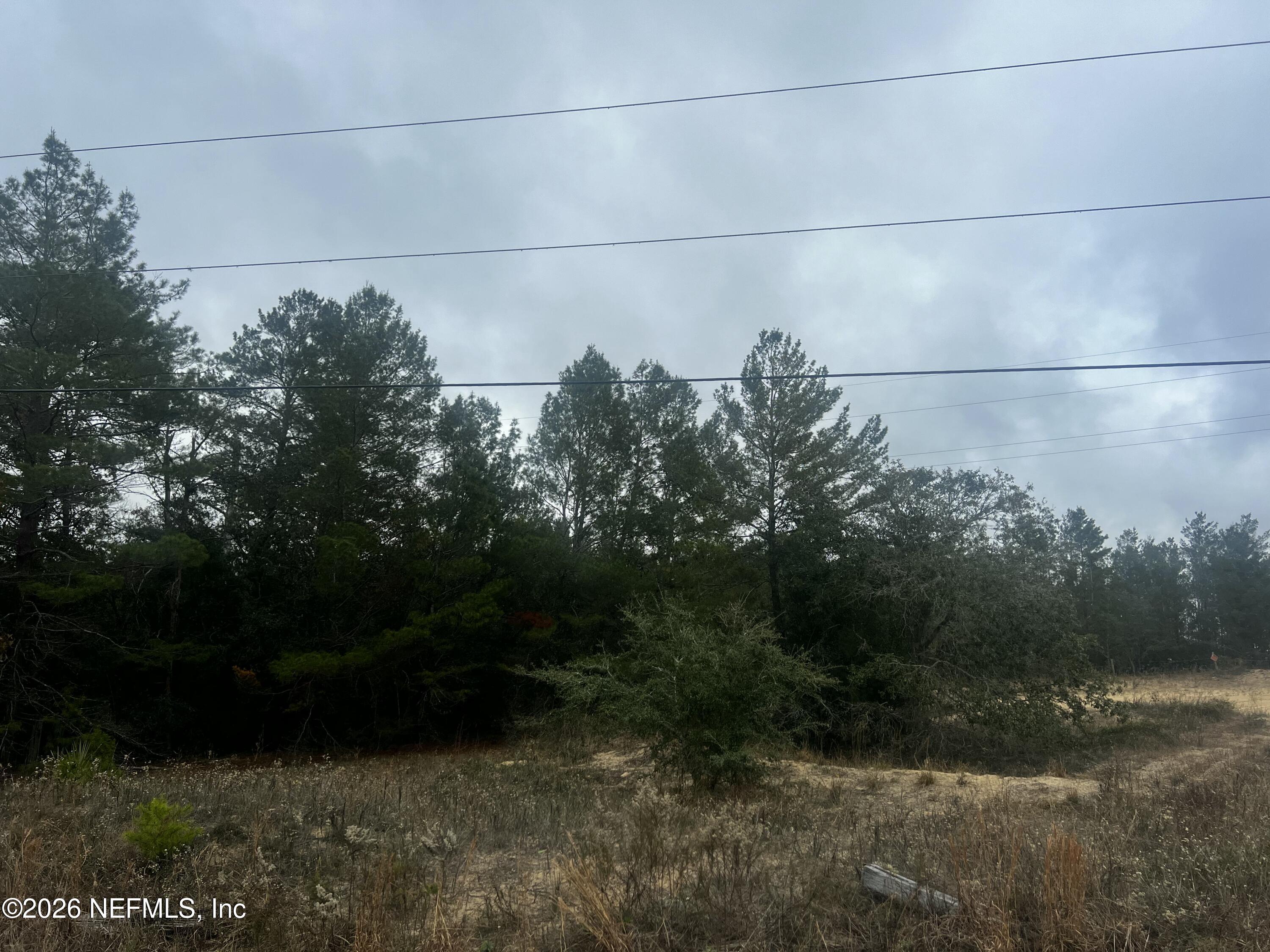 226 Ridge Road Satsuma, FL 32189 - Photo 25 of 61 IMG_0944